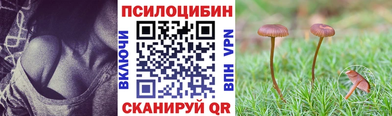 Галлюциногенные грибы Magic Shrooms  Звенигород 