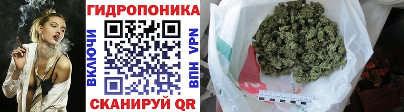 кракен вход  Звенигород  Бошки Шишки ГИДРОПОН 